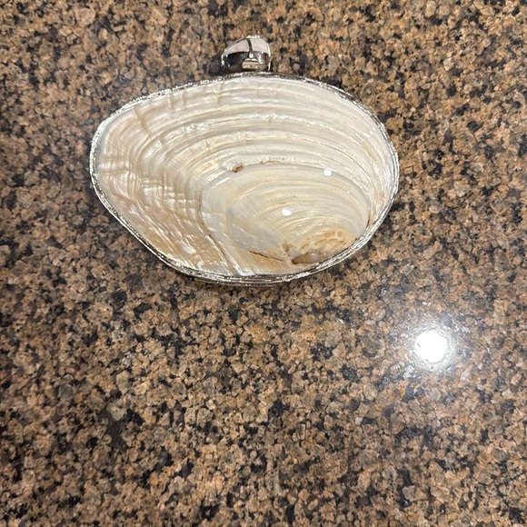 Real Shell Clutch – Handmade Statement Evening Bag with Chain Strap